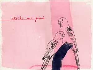 Strike me Pink