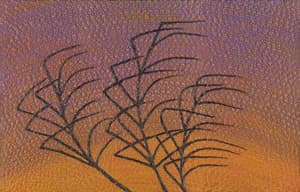 Sunset Wind