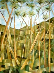 Bush Landscape