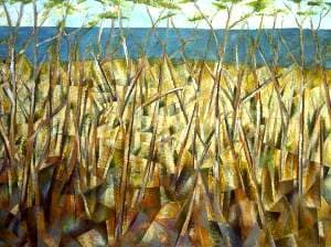 Coastal Fringe